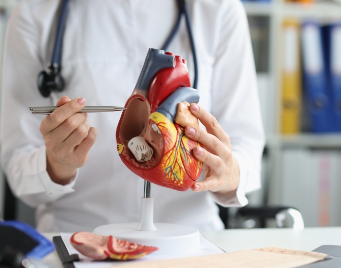 What to expect during a cardiologist visit