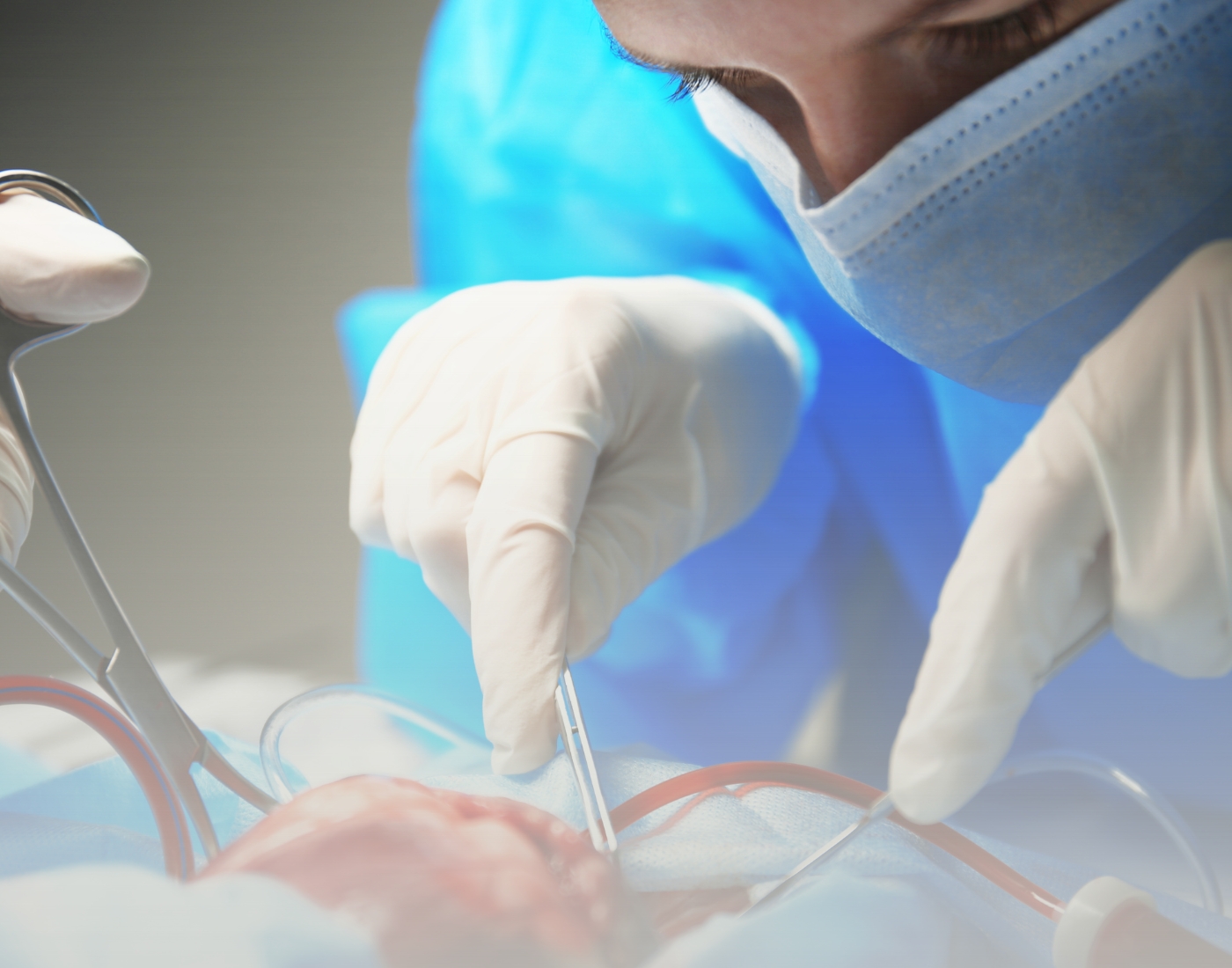 Heart Failure and Transplant Cardiology Specialist in TX | Advanced ...