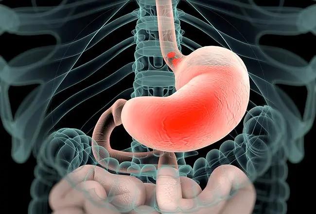 Diagram showing esophagus and heart location explaining why acid reflux feels like heart pain